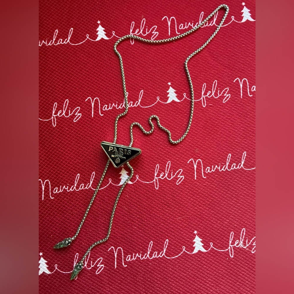 Elegant Silver Necklace with Paris Emblem